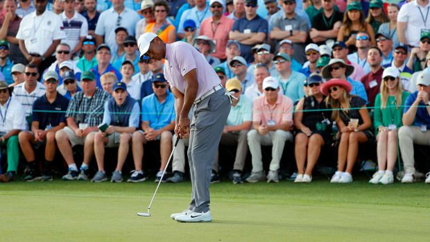 tiger-effect-augusta.jpg